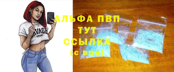 дживик Сатка