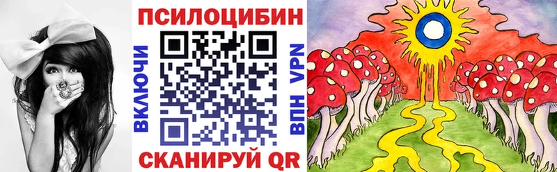 Купить где  Сольвычегодск  Галлюциногенные грибы Psilocybe 